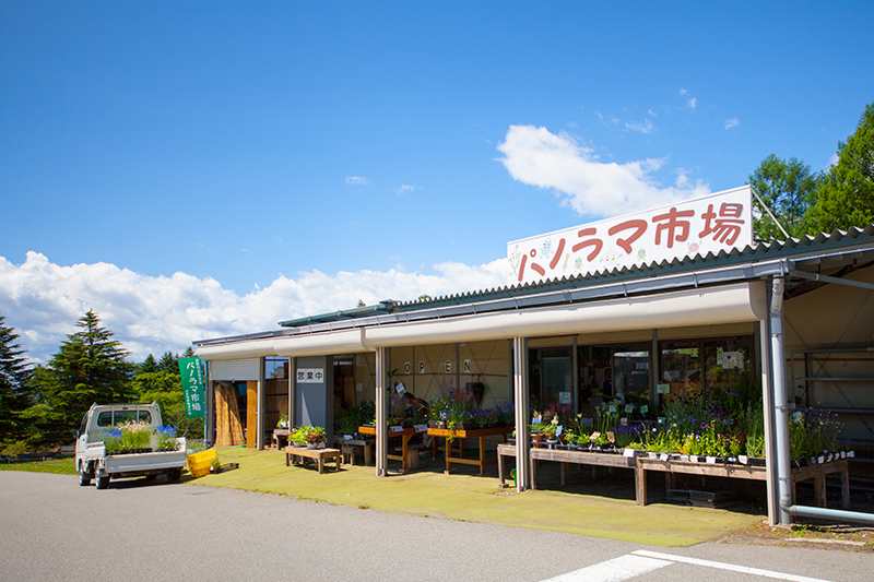 パノラマ市場